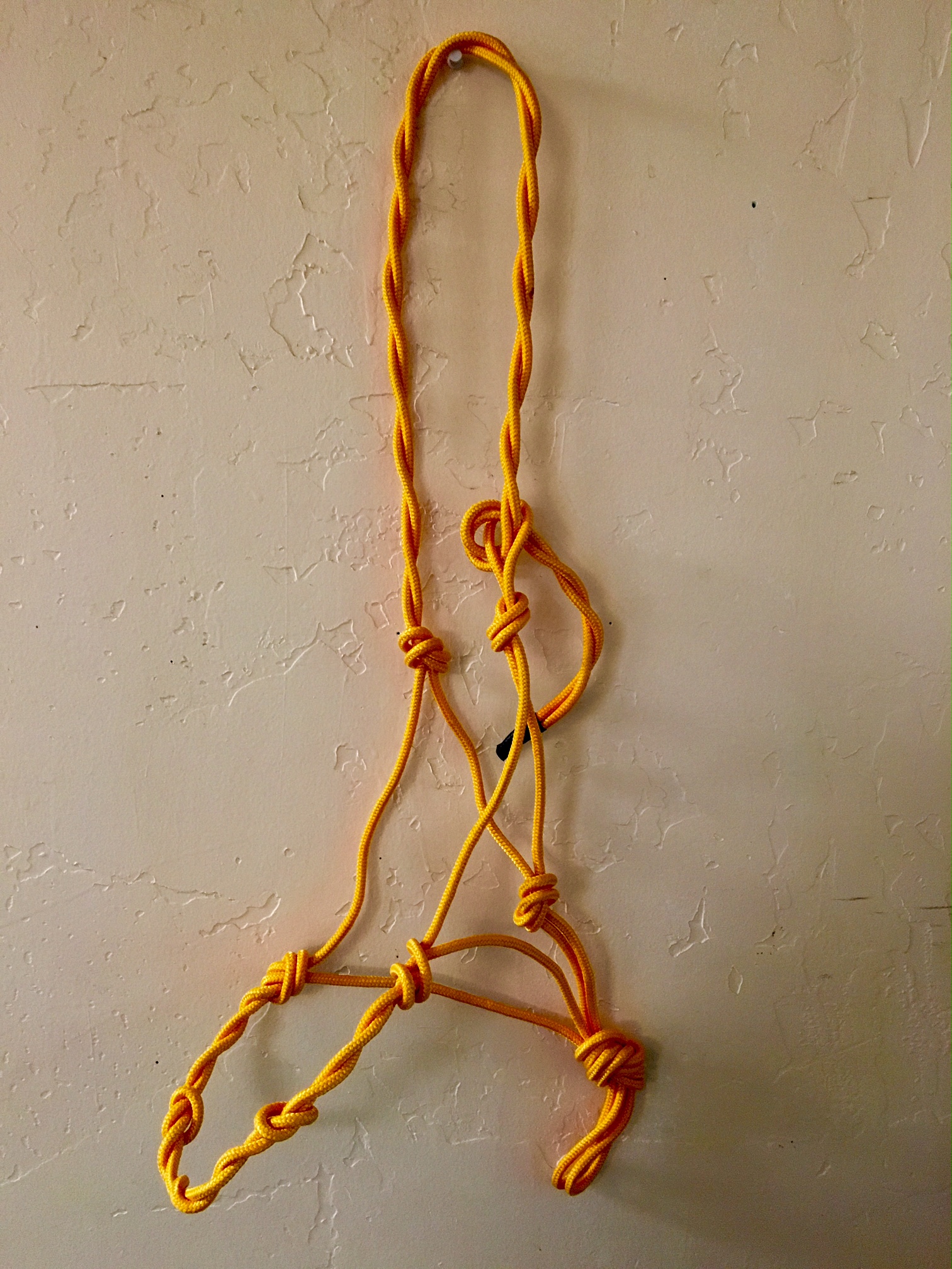 Yellow Rope Halter 4 Knot Twisted Bitless Bridle